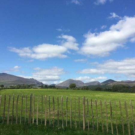 Willowtree Glamping Mournes Villa Annalong Exterior foto