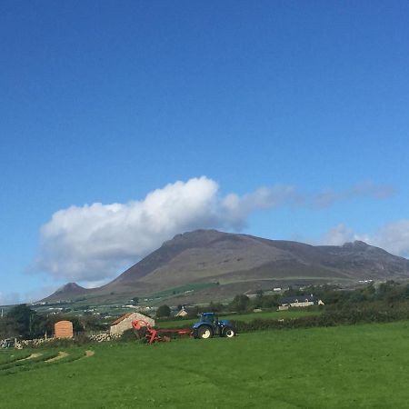 Willowtree Glamping Mournes Villa Annalong Exterior foto